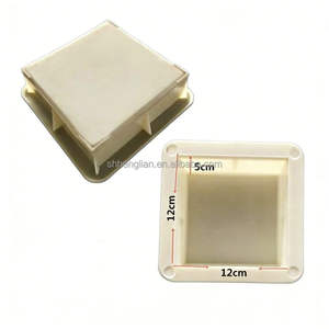 Ladrillos de Pavimentación Moldeados por Inyección Personalizables, Color/Permeables/Para Carreteras/Caminos Peatonales/Plazas/Aplicaciones Municipales (ECFP SHHLP621) - Product Image 3