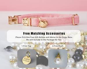 Hồng Veet cá nhân Cat & chó nhỏ cổ áo BOW TIE Dây Xích thiết lập, tùy chỉnh khắc Kitten Puppy name tag, miễn phí chuông vàng, nam nữ - Product Image 4