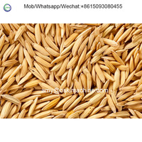 Machine à éplucher le riz, le riz, le Millet, le Grain, le riz