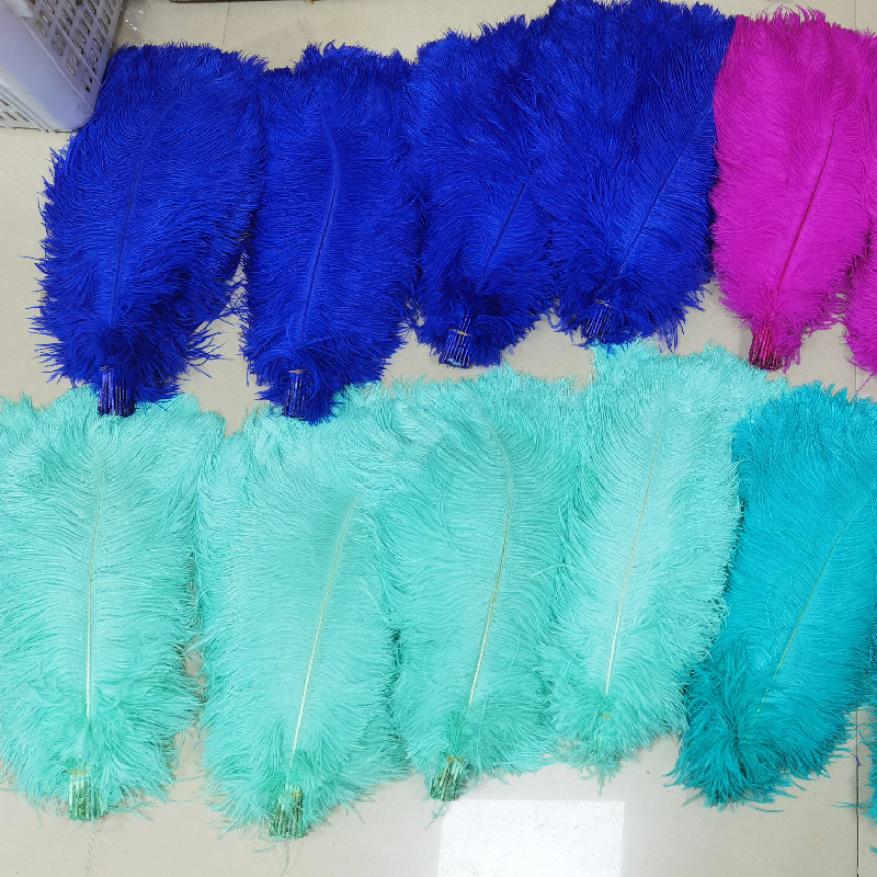 Carnival Crafting Made Natural Peacock Swords