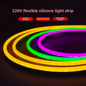 Bande LED néon flexible 5V 12V 24V RGB DMX numérique WS2811 WS2812 UCS1903 UCS2904 Pixel néon pour décoration murale extérieure - Product Image 2