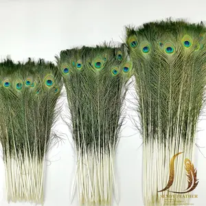 40-50cm Natural Peacock Feathers Eye Feathers Tails/Real Natural Decorative Peacock Feather For Art Craft Home Decoration