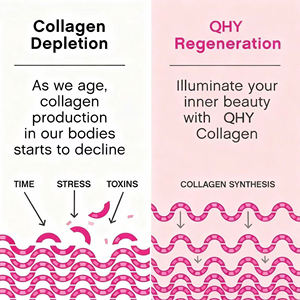 Collagène en gros OEM, multi-saveurs, marque privée, collagène de poisson, collagène bovin, poudre de boisson en mélange de peptides - Product Image 3