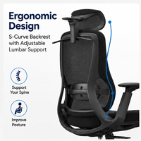 Chaise de bureau du gouvernement à dossier en maille, pivotante, ergonomique avec soutien lombaire
