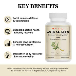 Cápsulas de Extracto de Astrágalo Orgánico, Suplemento Herbal, Refuerzo Inmunológico, Adaptógeno Natural, Sin OMG, Suministro a Granel - Product Image 4