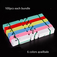 100 Étiquettes en PVC à boucle de 21*2 cm (8,26*0,78 pouces) pour plantes, étiquettes décoratives en PVC à suspendre