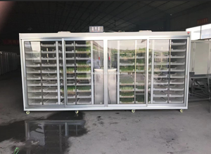 Machine de germination de fourrage d'herbe de <span class=keywords><strong>millet</strong></span> de conteneur hydroponique entièrement fermée | prix de la machine de fabrication de fourrage vert pour animaux - Product Image 4