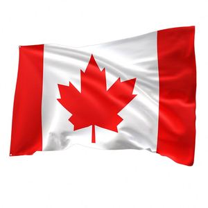 High Quality Custom 3x5 <b>Flags</b> Automotive Use Including Canadian <b>Flags</b> Pennant Style Custom Made Polyester Cloth Factory Priced - Product Image 2