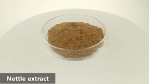 Persediaan Healthway kualitas tinggi ekstrak daun jelatang alami, bubuk peramping akar, kapsul - Product Image 2