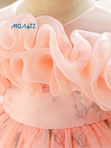 MQATZ all'ingrosso fiore Tutu abito per bambine formale neonato <span class=keywords><strong>rosa</strong></span> abito da ballo per compleanno o matrimonio stile Boutique - Product Image 5
