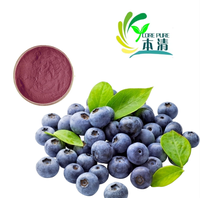 Pasokan pabrik penjualan panas bubuk ekstrak Blueberry alami dalam kemasan Drum