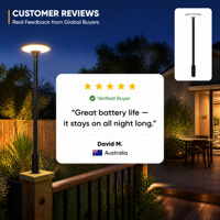 Lampe solaire paysagère certifiée IP65, ignifuge et antirouille, pour allées extérieures, jardins, importateurs commerciaux en gros