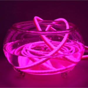 110V 220V 360 Degree <strong>Led</strong> Neon Flex Waterproof IP67 Round Stripe <strong>Rope</strong> <strong>LED</strong> - Product Image 6