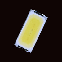 Meilleur prix 30mA 60mA 65mA CRI85 1500-100000K puces TW 0.1w 0.2w 3014 diode LED SMD blanche pour éclairage
