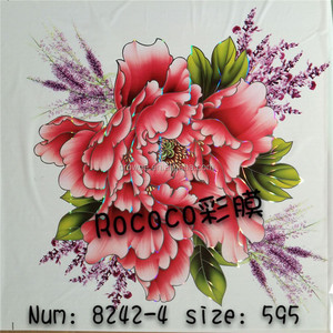 595*595mm Cinco colores <span class=keywords><strong>Cielo</strong></span> <span class=keywords><strong>Raso</strong></span> <span class=keywords><strong>PVC</strong></span> <span class=keywords><strong>Precio</strong></span> - Product Image 5