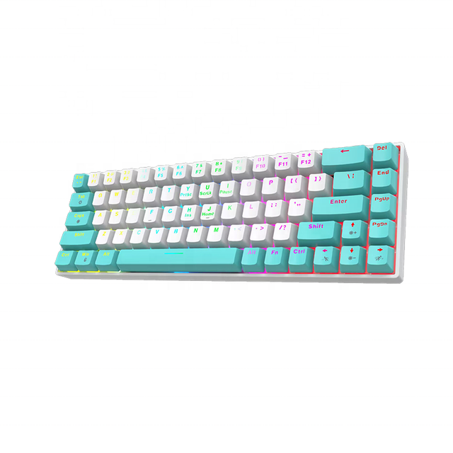 OEM Blue Switch 63 Keys Rainbow Backlit Wired Mechanical 60 Percent Gamer Compact Gaming Keyboard