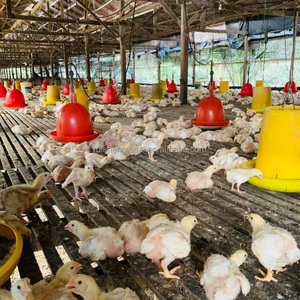 RS-76 động vật trang trại thiết bị gia cầm Gà feeders và người uống nhựa gà Feeder xô - Product Image 4