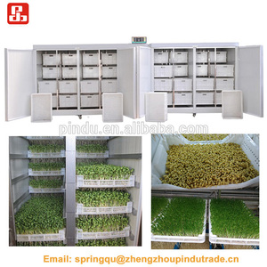 Máquina Germinadora Automática de <span class=keywords><strong>Brotes</strong></span> de Frijol Mungo Orgánico en Venta - Product Image 4
