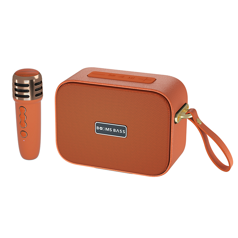 Powerful 50W 8 Inch Audio Speaker