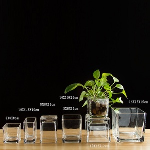 <span class=keywords><strong>Macetas</strong></span> de flores <span class=keywords><strong>cuadradas</strong></span> de cristal, mini plantador de semillas, <span class=keywords><strong>baratas</strong></span> - Product Image 6
