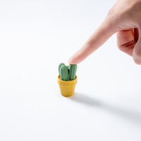 Service d'impression 3D 22 Network : Jouet anti-stress créatif en forme de plantes succulentes, mignon, pour prototypage rapide, personnalisable pour enfants en ABS/PC
