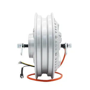 12inch 1200 watt 35H brushless DC electric scooter motorcycle hub motor