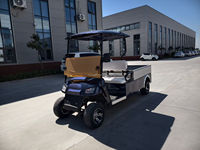 Voiturette de golf électrique, chariot de golf télécommandé avec frein à pédale, 3-4 places, moteur AC, vitesse 70 km/h, autonomie 90 km, véhicule routier classique