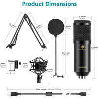 GAM-800B Micro de Studio Pour Les Grossistes