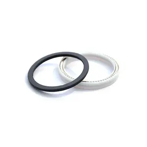 Factory Wholesale Spring Energized Seals PTFE Spring Lip Seal