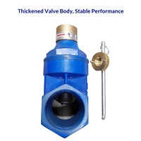 Vanne à opercule en fonte ductile avec verrouillage magnétique et joint souple fileté CZ15X-16Q NRS 2Cr13 SS Stem DN15-DN65 pour la protection des compteurs d'eau