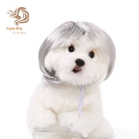 Perruques pour chats et chiens à poils bouclés ou raides, en polyester écologique imprimé, pour mode, loisirs, Halloween, été, printemps et festivals