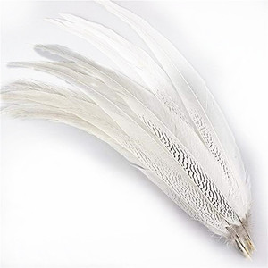 50-55Cm Màu Trắng Tự Nhiên Bạc Gà lôi Đuôi Bán Buôn Gà lôi Lông Đảng Trang Trí - Product Image 1