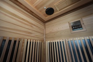 2025 Caisheng penjualan EMF rendah Hemlock mewah 2 orang Sauna inframerah dalam ruangan dengan Panel kontrol cerdas Audio Bluetooth - Product Image 5