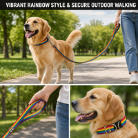 Collier de chien réglable en polyester personnalisé couleur arc-en-ciel article de fierté