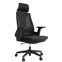 Chaise de bureau ergonomique en maille de qualité supérieure pour la maison, l'étude et les espaces de travail modernes