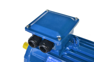 Moteur asynchrone triphasé sans balais Y2-180M-4 18,5 kW 25 CV 380 V 400 V 1500 tr/min 380 400 V 50 Hz - Product Image 5