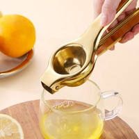 Presse-agrumes manuel en acier inoxydable pour citron, outils de cuisine avec boîte gratuite