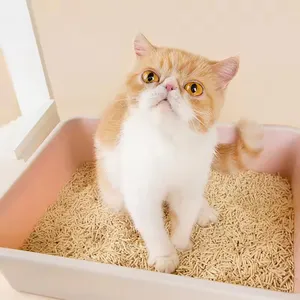 BSG6L環境にやさしいペット猫用の急速に凝集する抗菌性と脱臭性の天然TOFU猫用トイレ砂