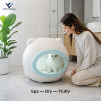Séchoir pour animaux de compagnie (chats et chiens), 800W, silencieux, avec fenêtre ovale et grille de sol, température et minuterie réglables