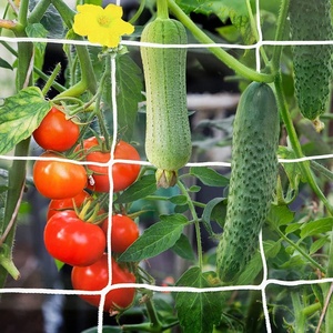 79" X 328 ft Plant Support Netting White <strong>Garden</strong> Trellis on Roll <strong>Mesh</strong> for Growing Vine Climbing Plants - Product Image 6