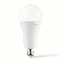 Ampoule LED d'urgence 20W E27, haute luminosité, économie d'énergie, batterie rechargeable, lumière de secours pour panne de courant