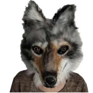 Maschera a forma <span class=keywords><strong>di</strong></span> testa <span class=keywords><strong>di</strong></span> lupo grigio, maschera in peluche per feste a tema <span class=keywords><strong>Halloween</strong></span>, <span class=keywords><strong>film</strong></span> e TV, accessorio divertente per feste - Product Image 4