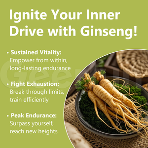 Hoge Kwaliteit Pure <span class=keywords><strong>Ginseng</strong></span> Poeder Kruidensupplement Bevorderen Gestage Gewichtstoename <span class=keywords><strong>Ginseng</strong></span> Wortelpoeder Voor Het Verbeteren Van De Eetlust - Product Image 2