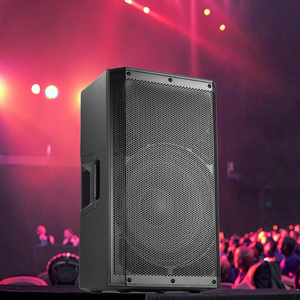 Chất lượng cao chuyên nghiệp hệ thống âm thanh xách tay 350W RMS USB 12 "loa siêu trầm tủ nhựa loa - Product Image 5