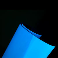 Vinilo Fotoluminiscente Autoadhesivo PET, Película Luminosa que Brilla en la Oscuridad, Adhesivo de Salida, Imprimible, Irrompible, para Advertencias de Seguridad