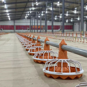 농장 1 층 공급 라인 닭 사료 공급 시스템을위한 자동 가금류 농장 장비 - Product Image 4