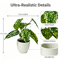 Tanaman Artifisial Dieffenbachia Variegated Real Touch 17cm, Tanaman Hijau Palsu Kecil Untuk Dekorasi Kantor