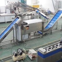 Commerciële Automatische Krulvriesmachine Aardappel Schillen Wassen Snijden Tandwielpomp RVS 500-2000kg/u Franse Friet Golvend