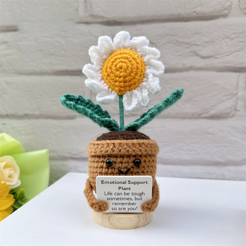 Plante de marguerites blanches (sans base)