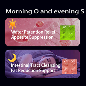 Pilules d'extrait de Garcinia Cambogia pur naturel Perseek OEM certifiées ISO 9001, adaptées aux adultes, pour une combustion saine des graisses - Product Image 6